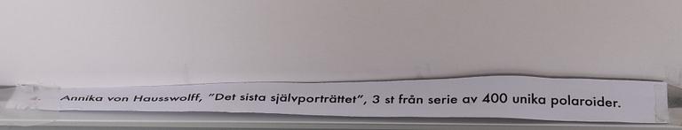 Annika Elisabeth von Hausswolff, "Det sista självporträttet".