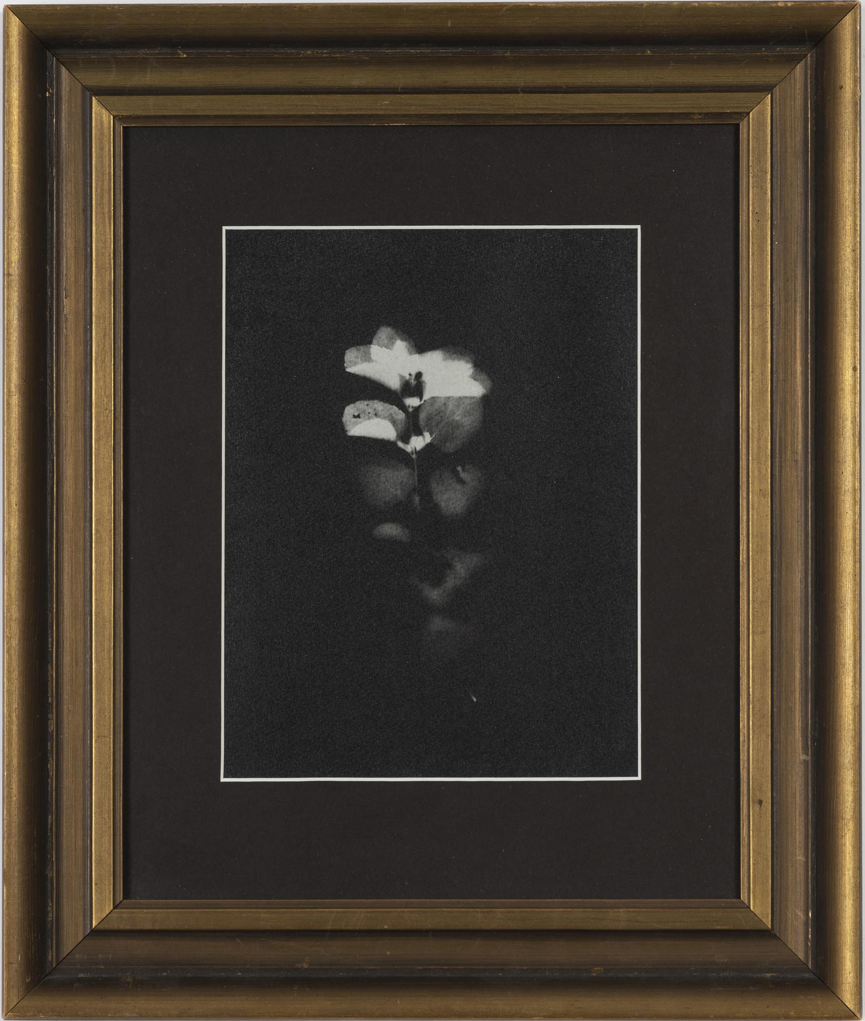 Ava Valsten, photograph unique signed verso.