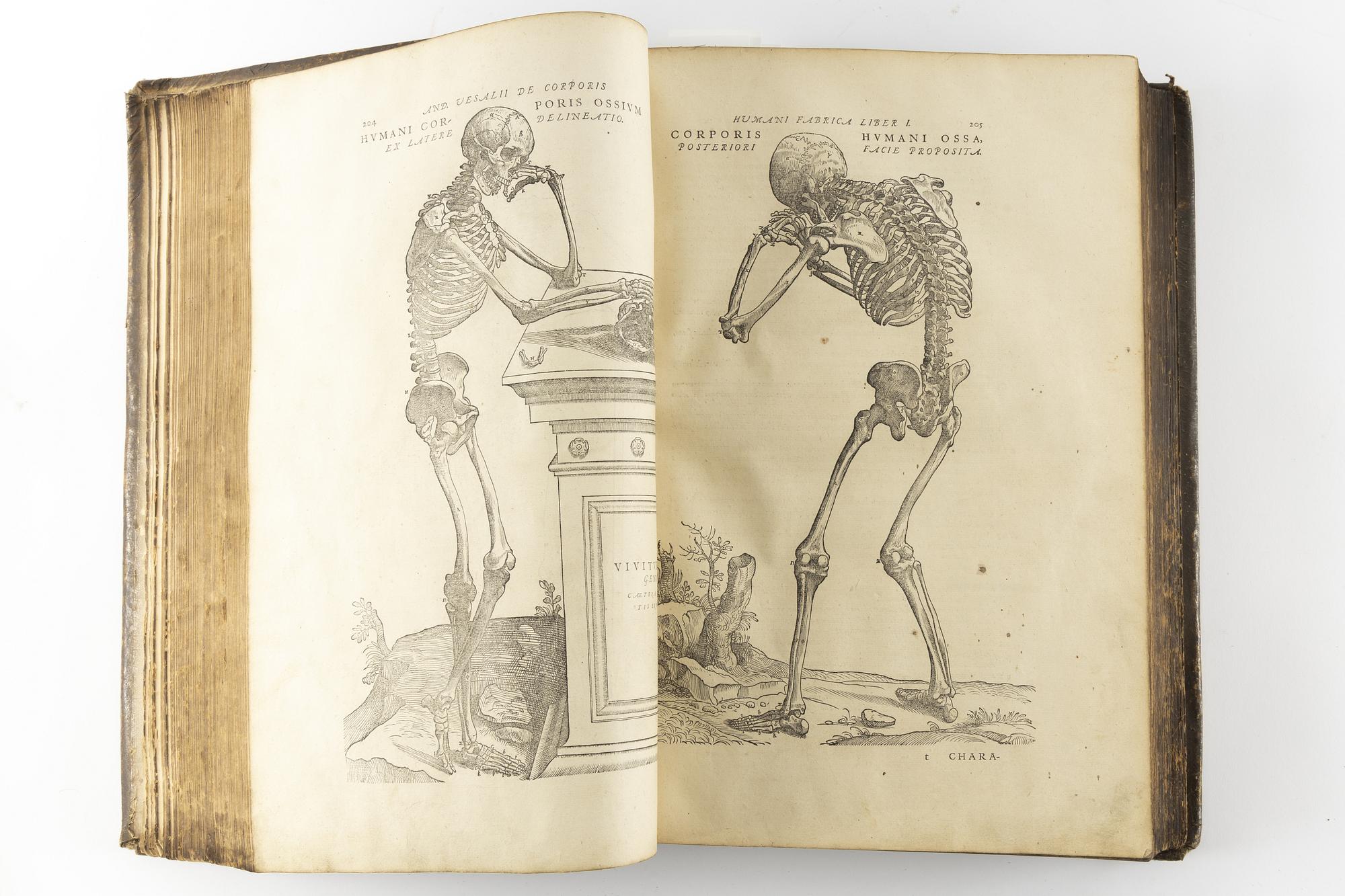 Andra och bästa upplagan av Vesalius’ anatomiska praktverk, 1555.