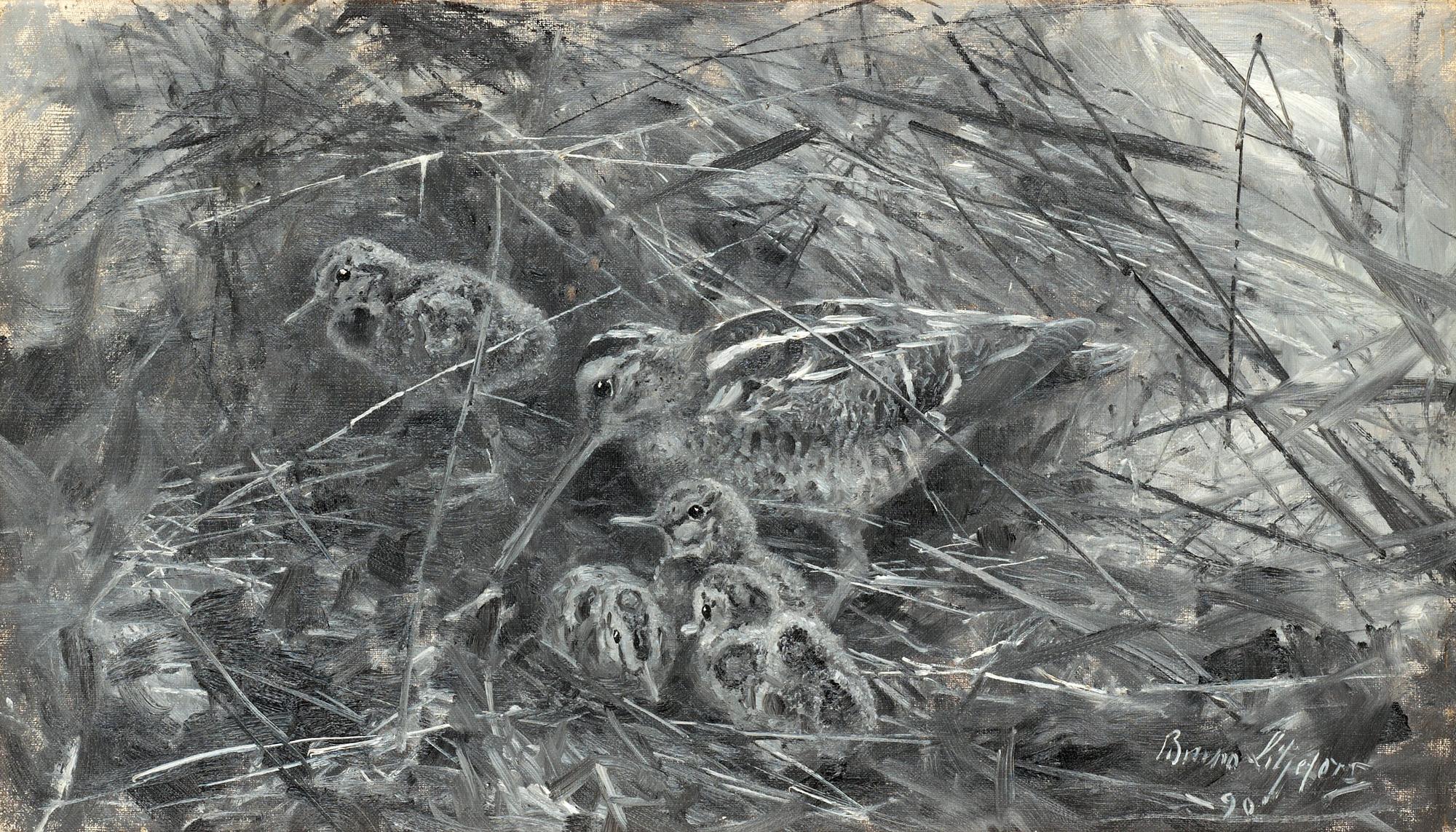 Bruno Liljefors, Snipes in a nest.