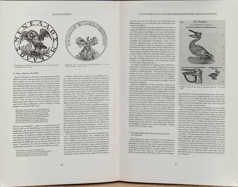 MAPP, OLOF RUDBECK DY, "Portföljen", med kommentar av Gunnar Brusewitz och Tomas Anfält.