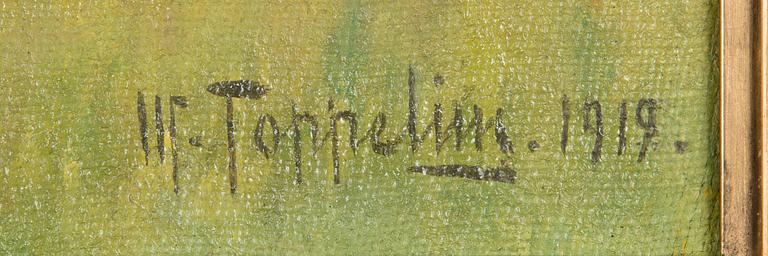 Woldemar Toppelius, Näkymä Arildista.