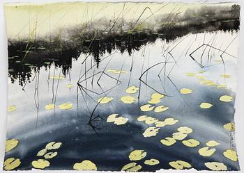 Peter Eugén, Water Lilies.