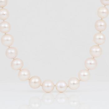 PÄRLCOLLIER, med hjärtformat försilvrat lås och odlade vita pärlor.