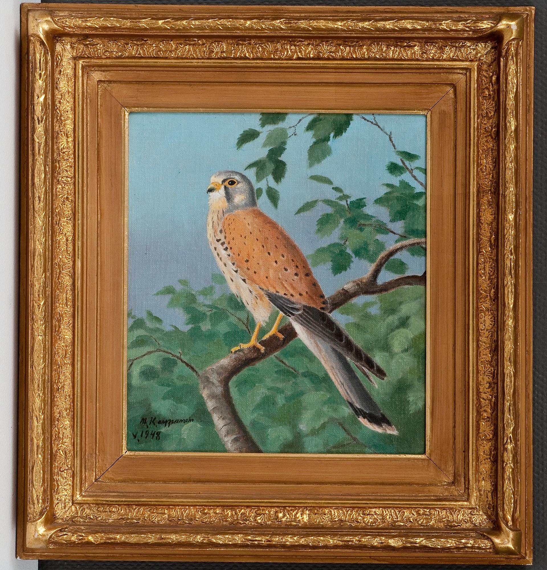 Matti Karppanen, COMMON KESTREL.