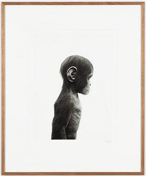 Ulf Rollof, Untitled, 2012.