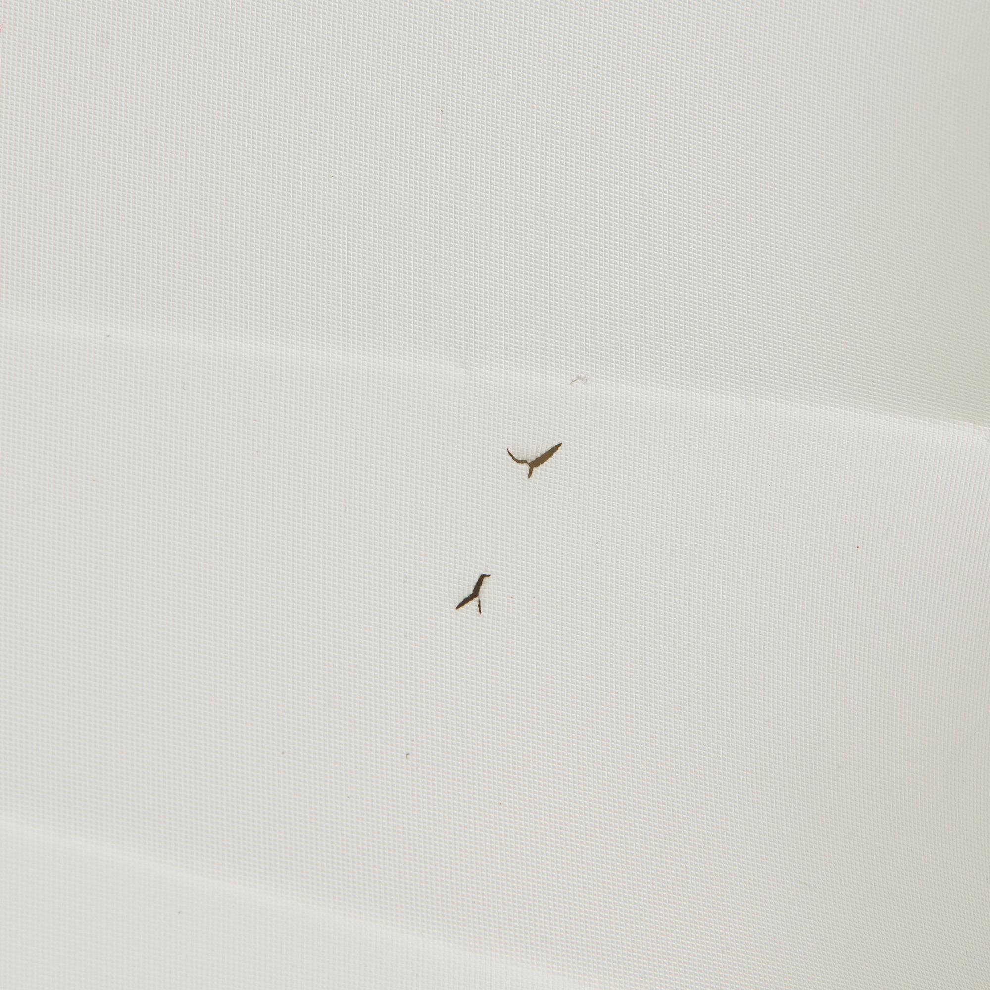 Taklampa/plafond, Idman, 1900-talets mitt.