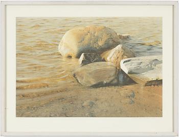 Stanislaw Zoladz, "Solglitter".