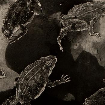 PG Thelander, untitled.