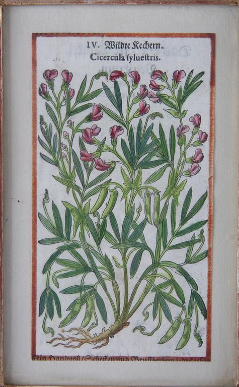 HANDKOLORERADE GRAVYRER, 2st, och KOPPARSTICK, 17/1800-tal.