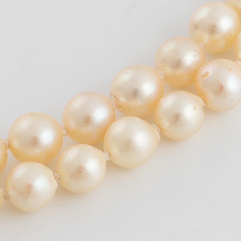 Cultured two strand pearl necklace.