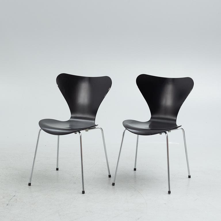 Arne Jacobsen, stolar 7 st, "Sjuan", Fritz Hansen, 2000-tal.