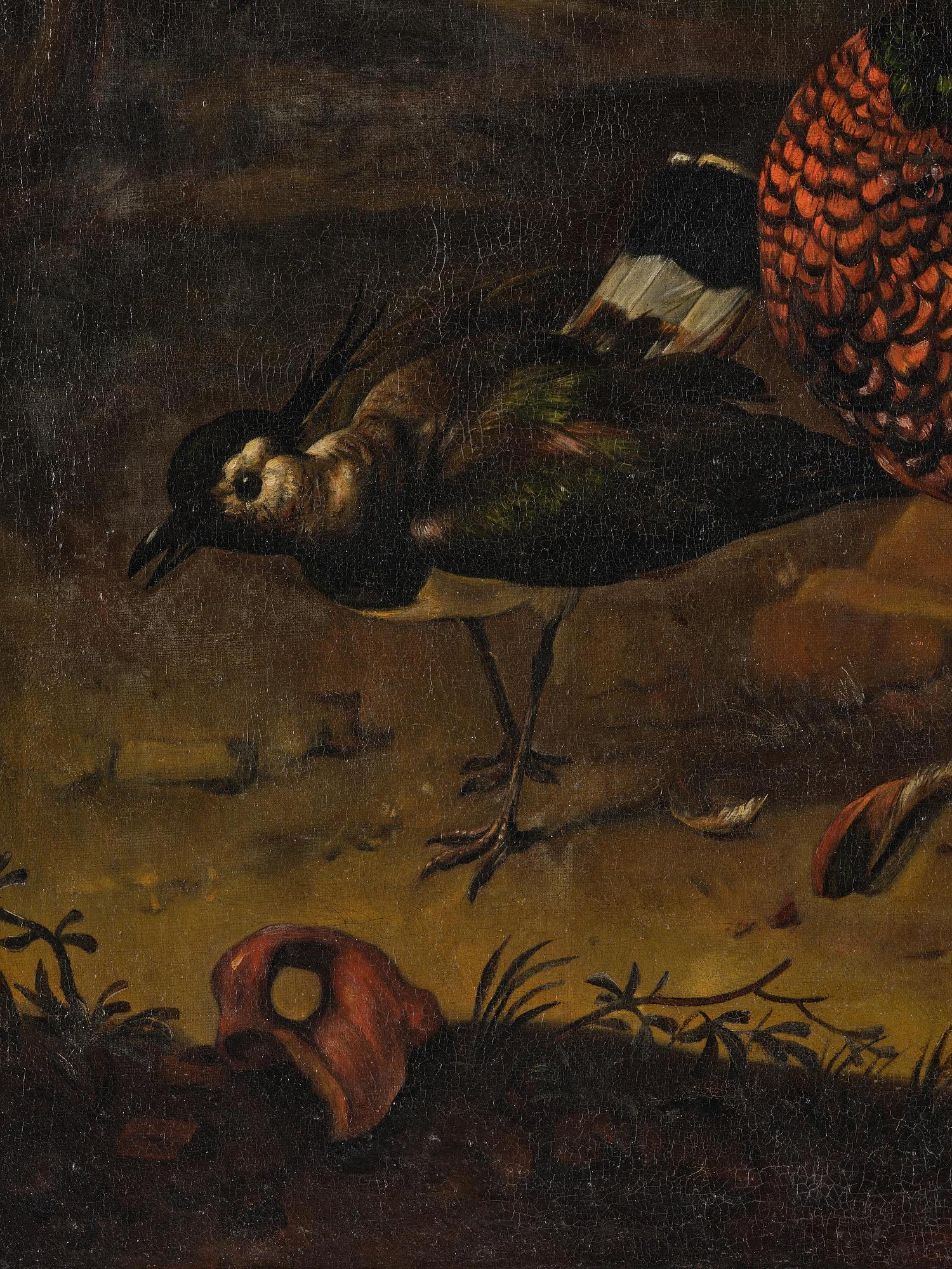 Melchior de Hondecoeter His art, Wild birds in a park landscape.