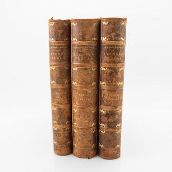 The Wright Brothers, book work, 3 volumes, "Swedish Birds", A. Börtzells tryckeri AB, Ivar Baarsen, Stockholm, 1924-1929.