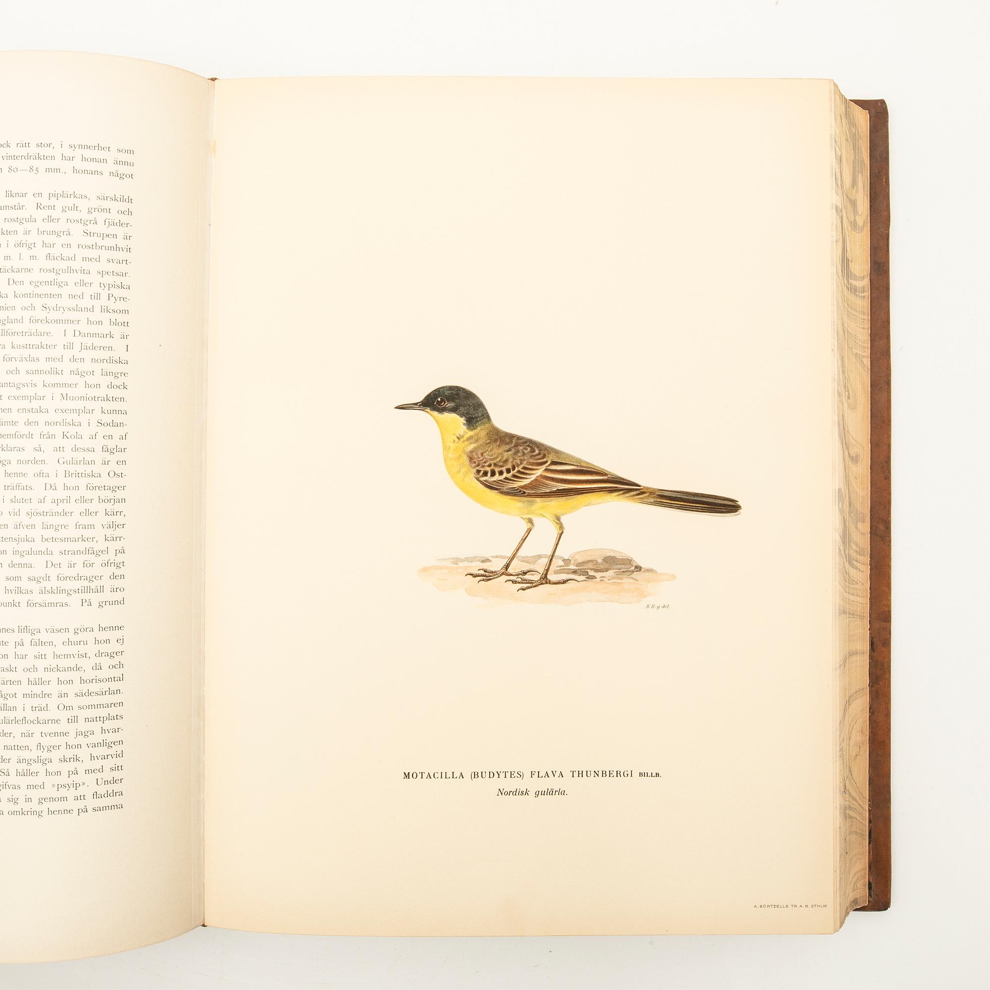 The Wright Brothers, book work, 3 volumes, "Swedish Birds", A. Börtzells tryckeri AB, Ivar Baarsen, Stockholm, 1927-1929.