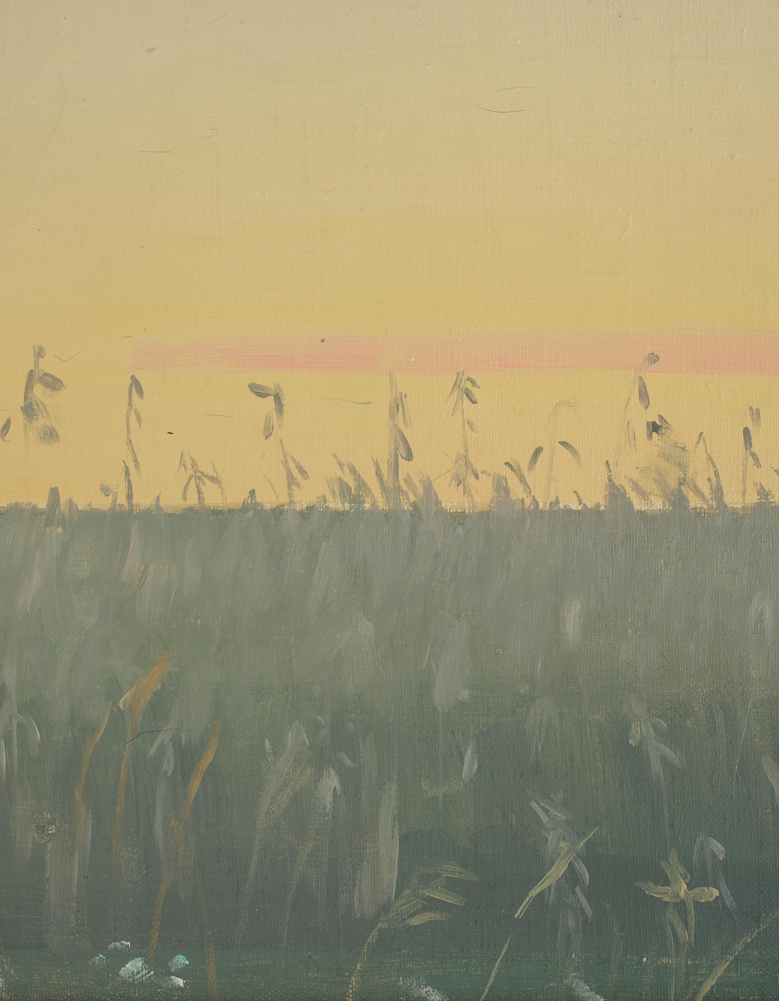 Vera Frisén, Meadow Flowers.