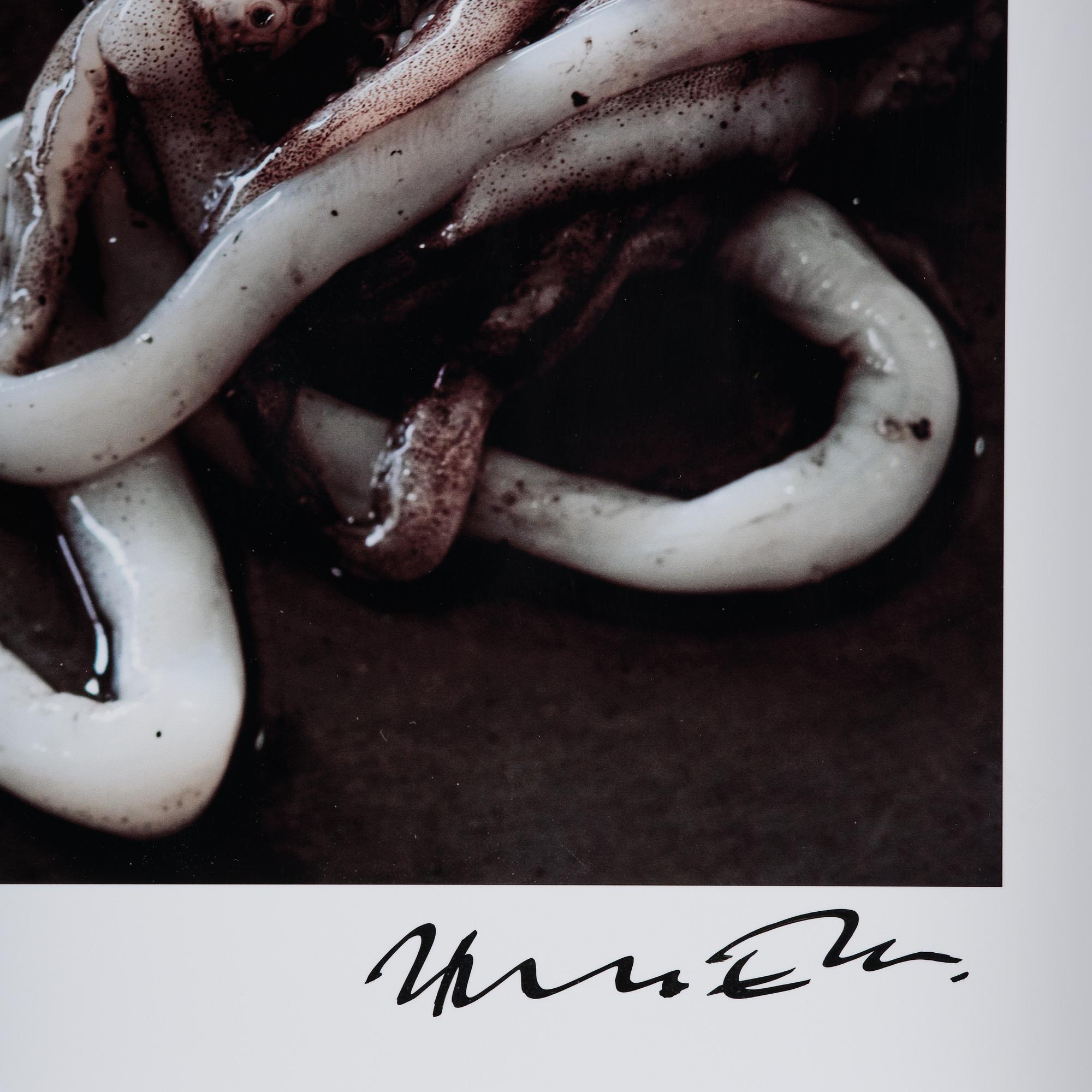 Bruno Ehrs, "From the series: Diptychs & Triptychs".