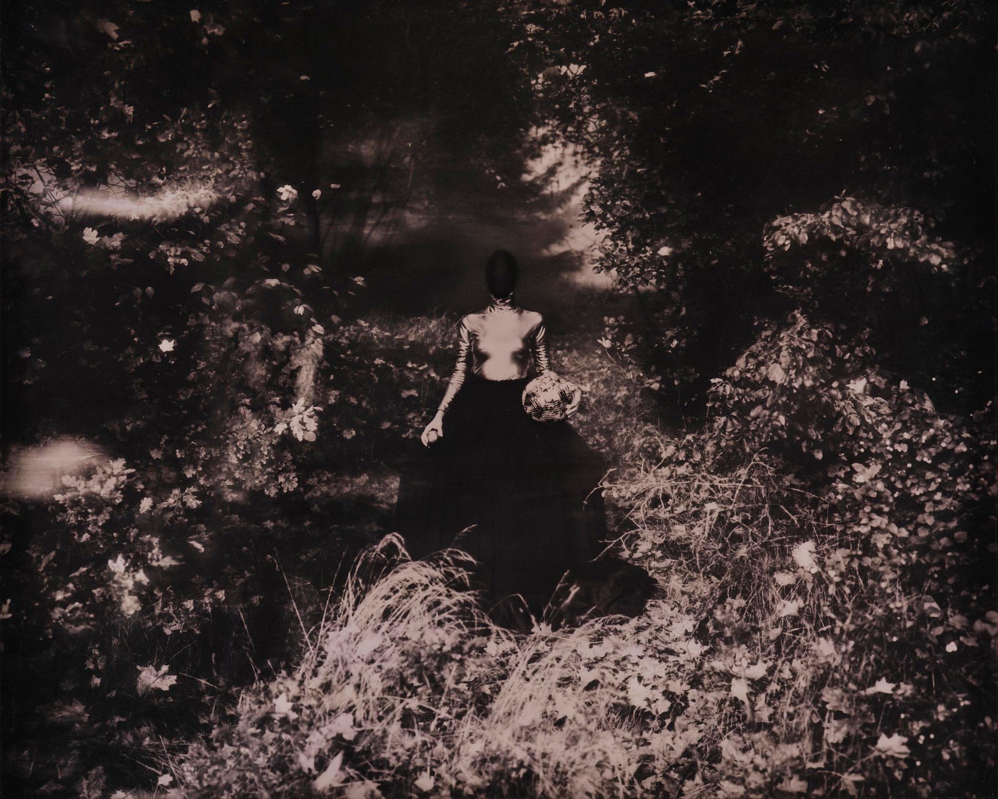 Denise Grünstein, "Skepnad", 2015.