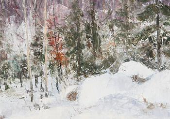 Aares Salli, Vintrig skog.