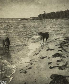Henry B. Goodwin, Troll och Tott vid stranden på Utö, 1923.