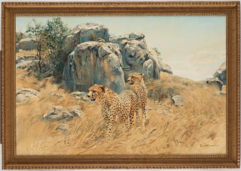 Donald Grant, Cheetah beside a cliff.