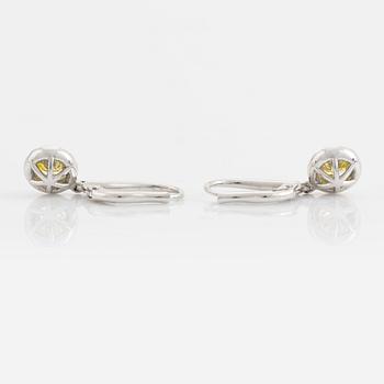 Colour treated brilliant cut diamond earrings.