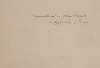 John Bauer, Drawing for "Det var ju rakt omöjligt att stå ut med så'na där skällande tjutande rackare".