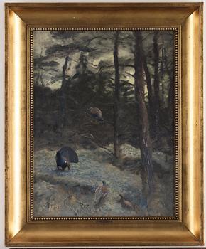 Bruno Liljefors, "Tjäderspel".
