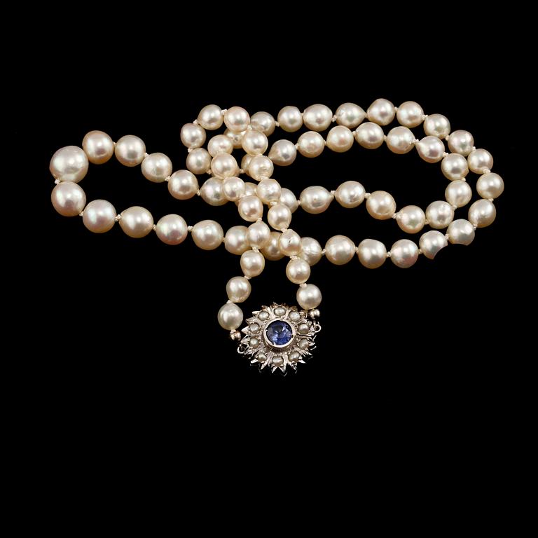 PÄRLCOLLIER, odlade pärlor med lås i 18k vitguld med 10 odlade pärlor och fasettslipad blå safir.
