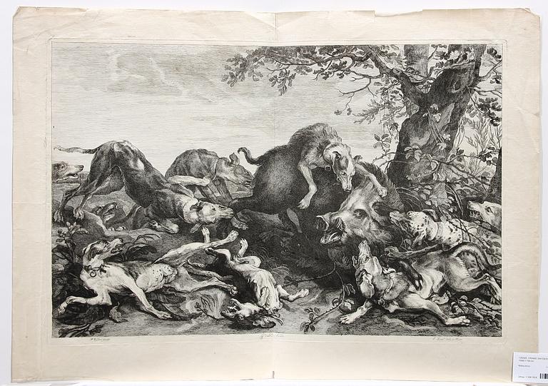 FRANS SNYDERS, efter, etsning, 1600/1700-tal.