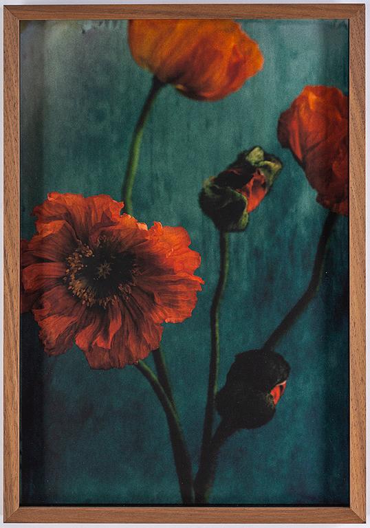 EWA-MARIE RUNDQUIST, archival pigment print. Signed and dated 2014 on verso and numbered 1/3.