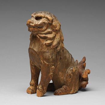 A wooden sculpture of a buddhist lion, Qing dynasty, 19th Century.