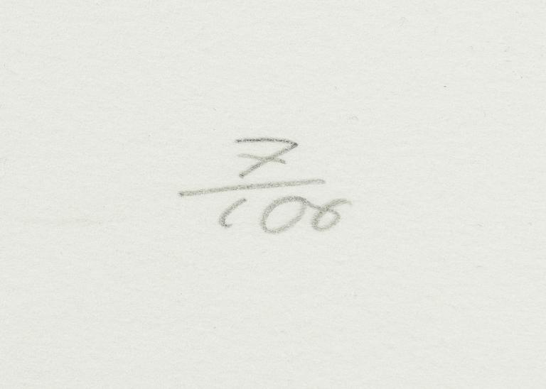 Fabrizio Plessi, "Movimenti della Momoria".