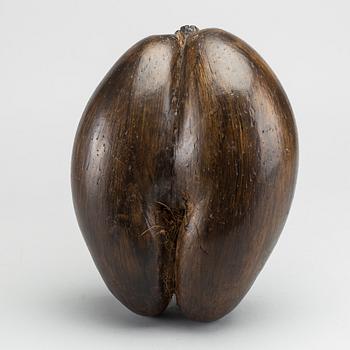 COCO DE MER.