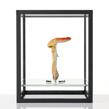 Carsten Höller, "Double Mushroom Vitrine (Once)".