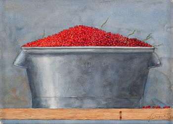 524. Philip von Schantz, Red currant.