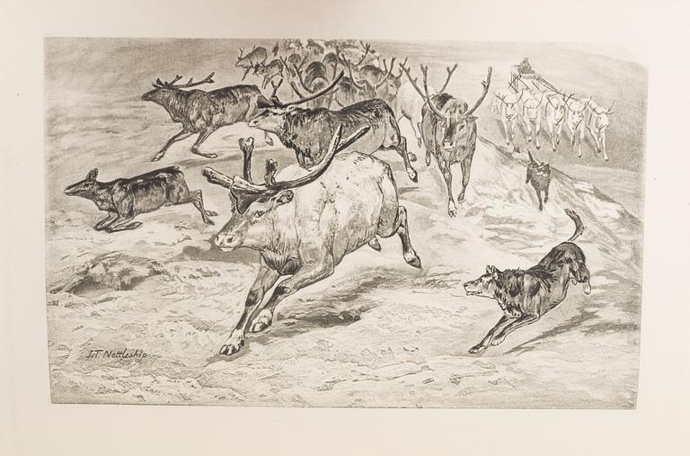 RESEBÖCKER, 6 st, bland annat "En sommar i Finnmarken, ryska Lappland och Nordkarelen" av J.A. Friis 1872.