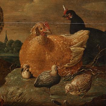 Gijsbert Gillisz. de Hondecoeter Attributed to, The duck and chicken family.