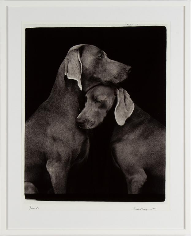 William Wegman, photograph, signed and dated -05.