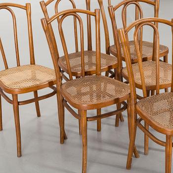 A SET OF SIX BENTWOOD THONET CHAIRS.