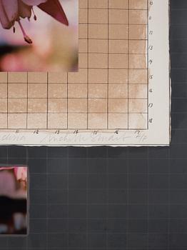 Michelle Stuart, "Correspondences: Time Connecticut Fuchsia".