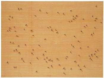 441. Ed Ruscha, "Flies" ur "Insects".