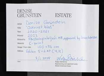Denise Grünstein, "Oskrivet blad 3", 2020/21.
