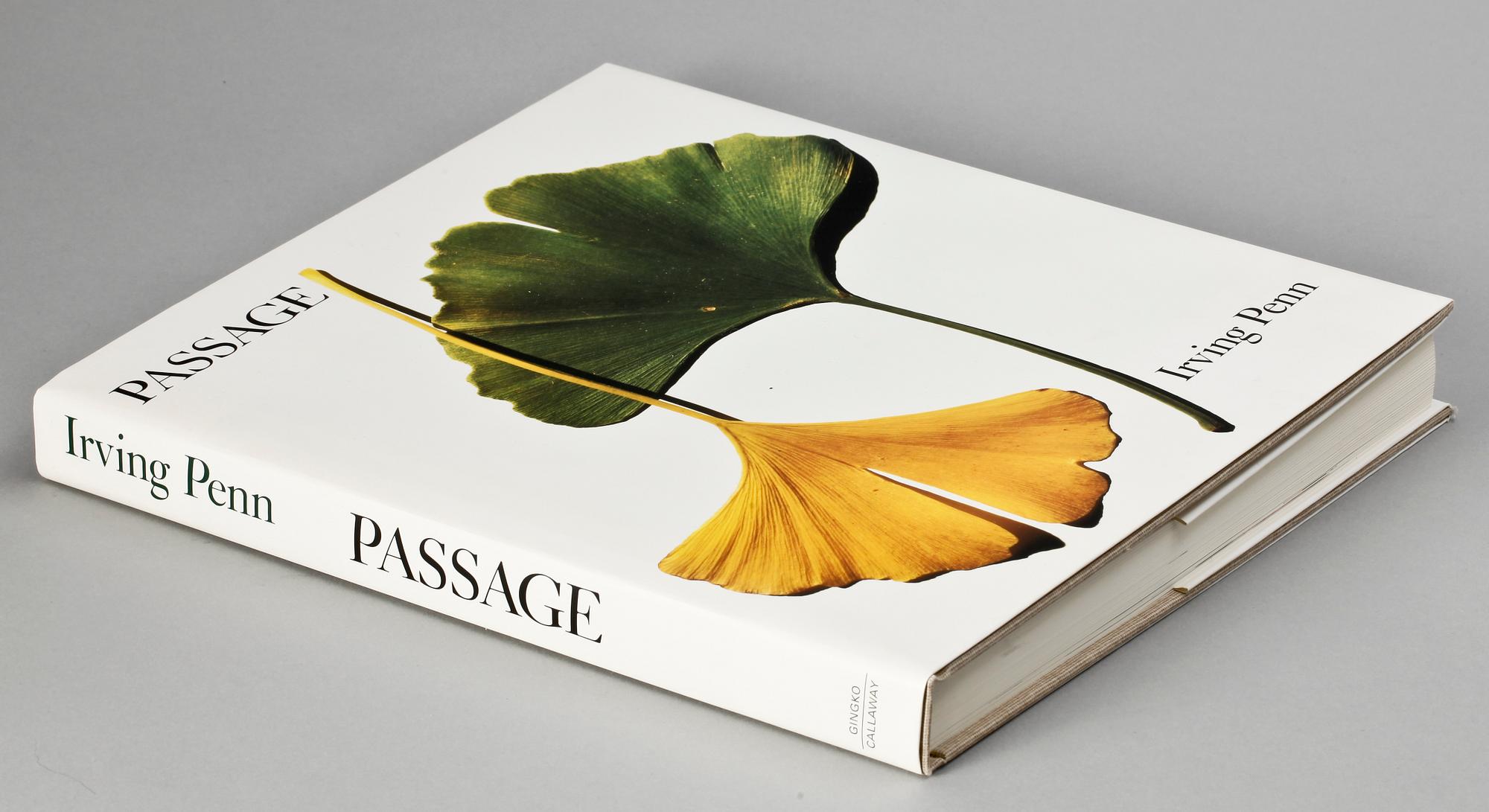 BOK, "Passage a work record", Irving Penn, Callaway, USA 1990.