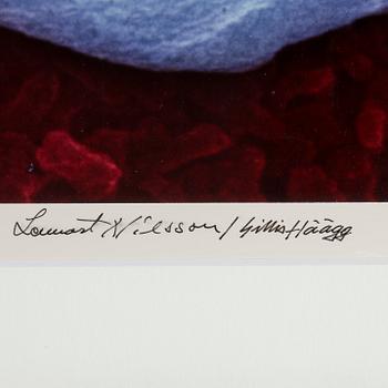 LENNART NILSSON & GILLIS HÄGG, cibachrome, signed and numbered 22/75.