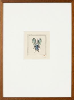 Sten Eklund, "Insekten" Ur "Kullahusets hemlighet".