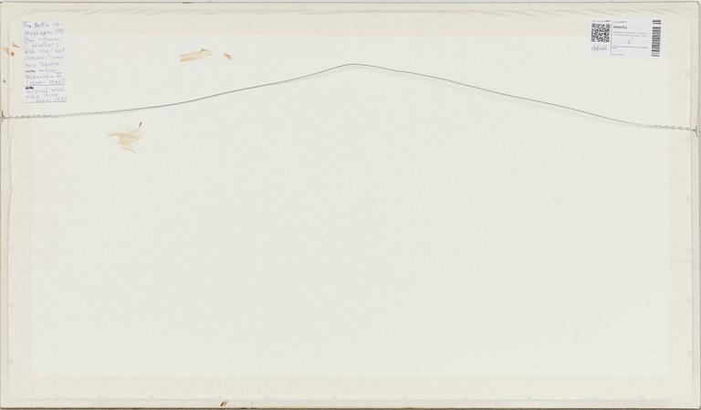 Hasegawa Sadanobu II, triptych, 'The Battle of Shiroyama', 1877.