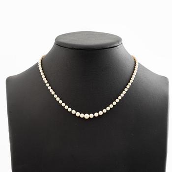 Necklace of pearls with an 18K gold clasp.