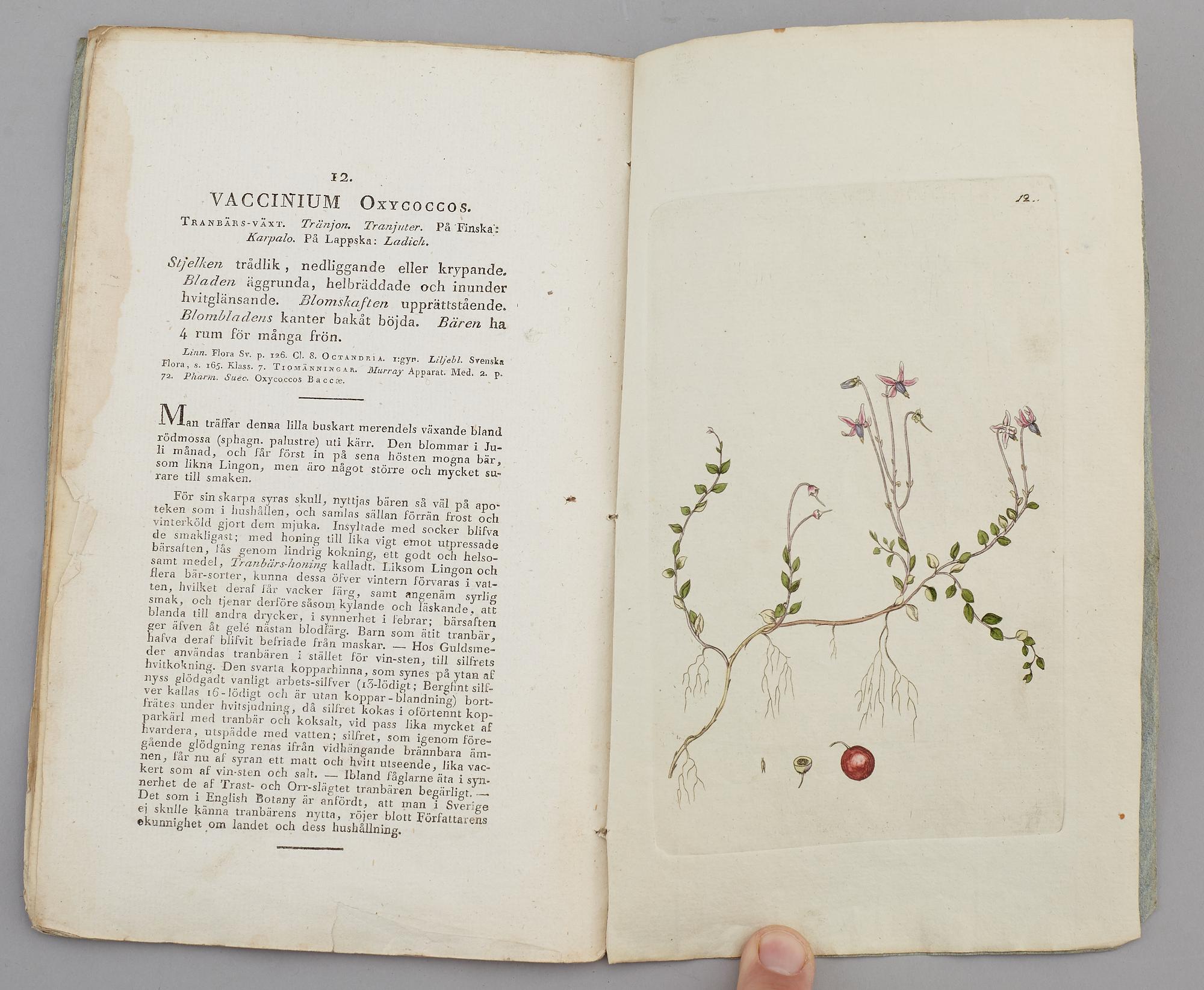 JOHAN WILHELM PALMSTRUCH, "Svensk Botanik, vol I-V. 1803-1805.