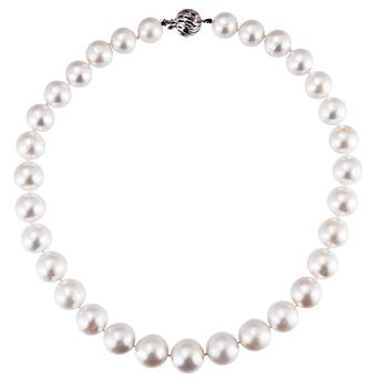 700. SOUTH SEA PEARL NECKLACE.